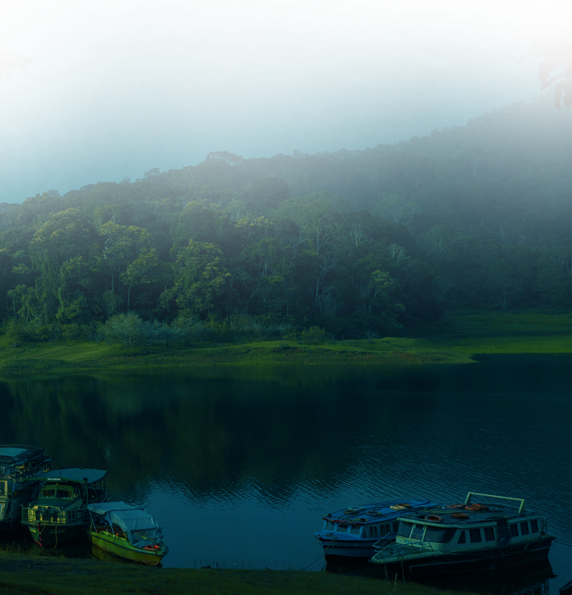 thekkady accommodation