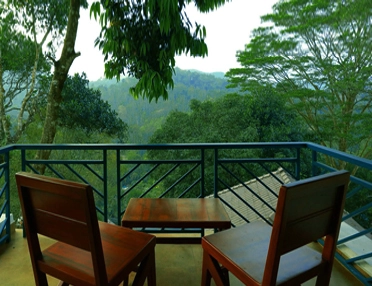 luxury resorts in thekkady