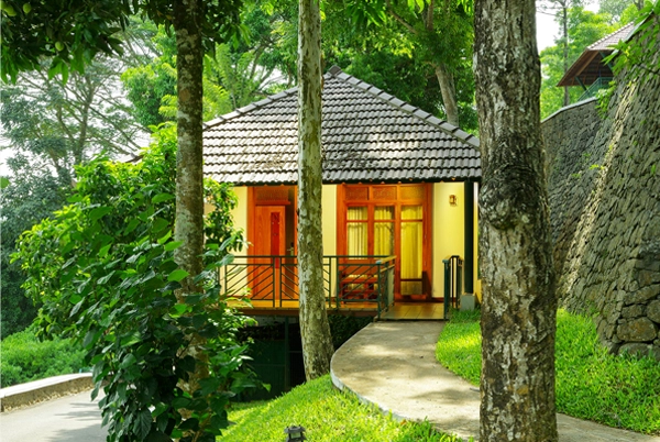 hotels in thekkady